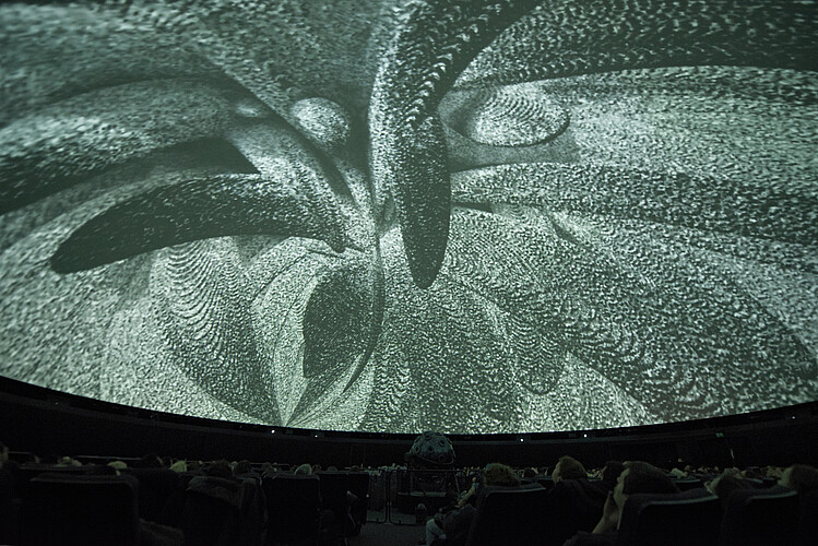 _DSC3433
