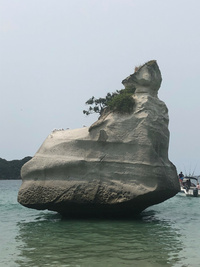 Ein großer Stein ragt aus dem Wasser in Neuseeland